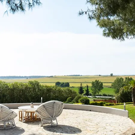 F & B Summer Collection - Kassandra - Sani *
